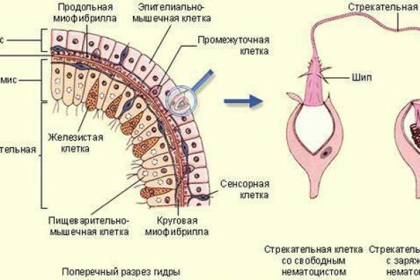 Кракен наркотики россия