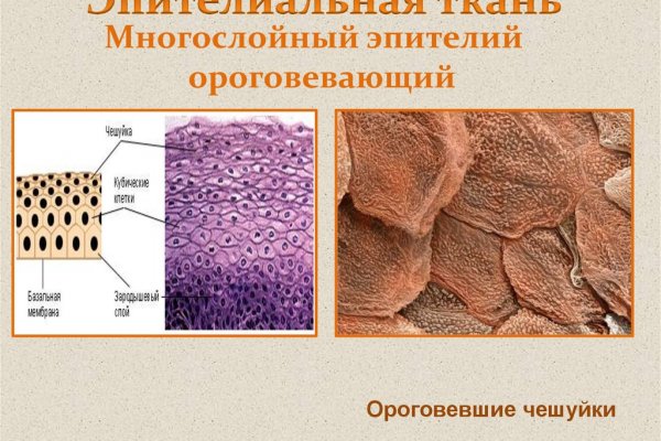 Как зайти на кракен дарк